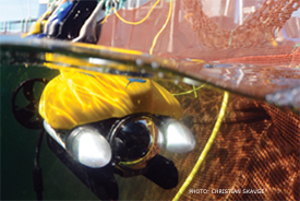 photogallery aquaculture