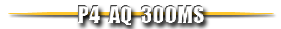 p4aq300ms text