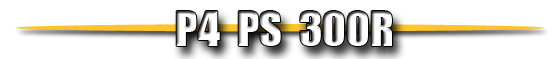 p4ps300r text