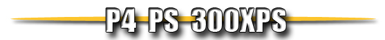 p4ps300xps text