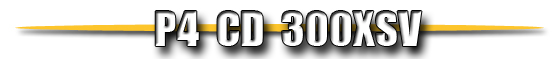 p4cd300xsv text