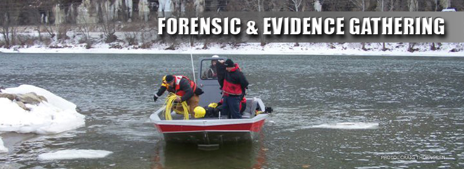 FORENSIC MAIN