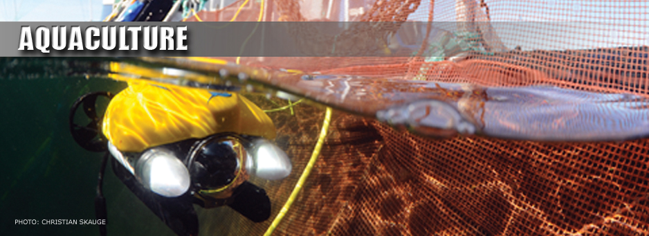 aquaculture main