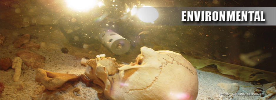 environmental banner