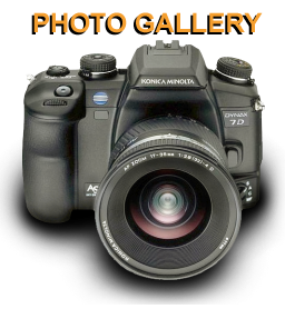 PHOTOGALLERY5ICON