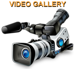 VIDEOGALLERY4ICON