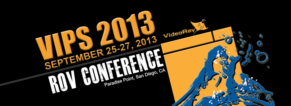 vips2013banner design